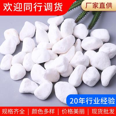 白色鹅卵石雪花白 厂家盆栽铺面园艺小石头造景鱼缸景观石子