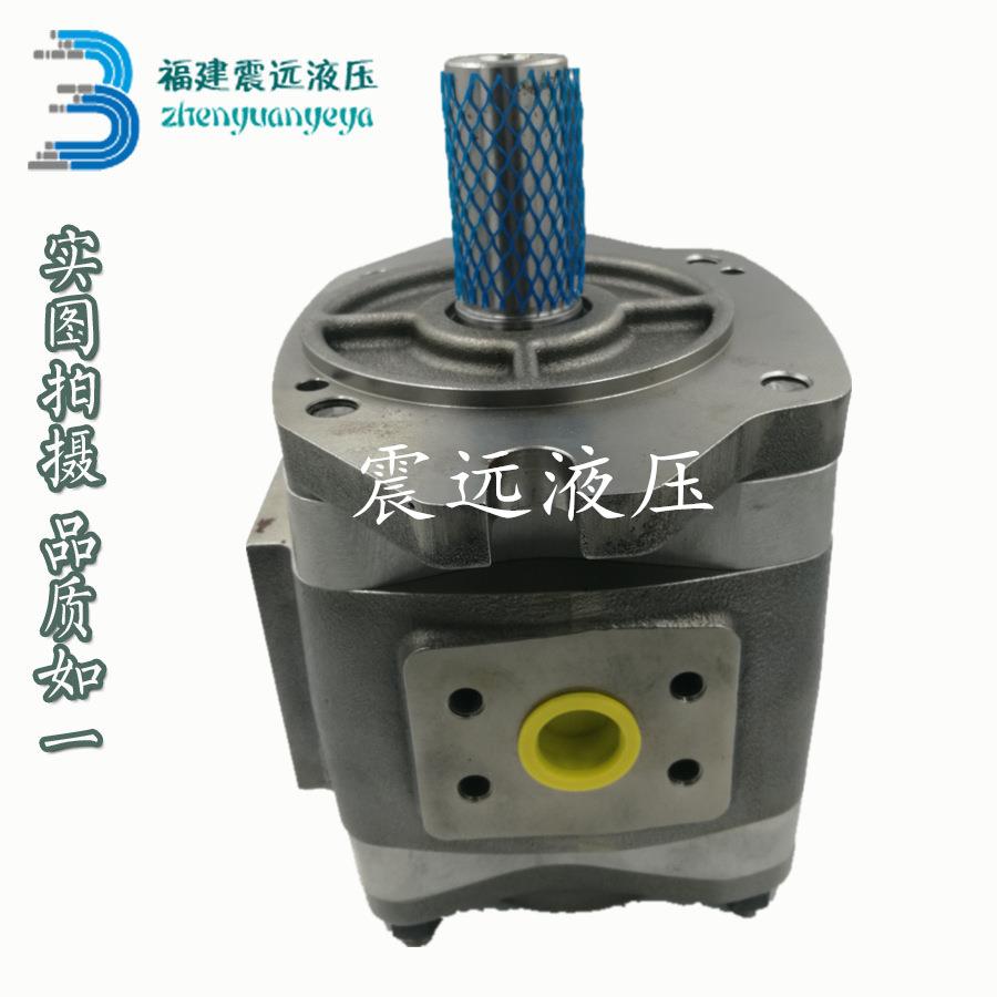 NACHI不二越 IPH-2B/2A-3.5/5/6.5/8-11 齿轮泵