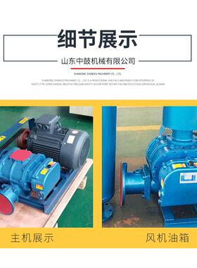 新罗茨鼓ZZR50风机价格销 低噪音 水产养殖污水处理用P