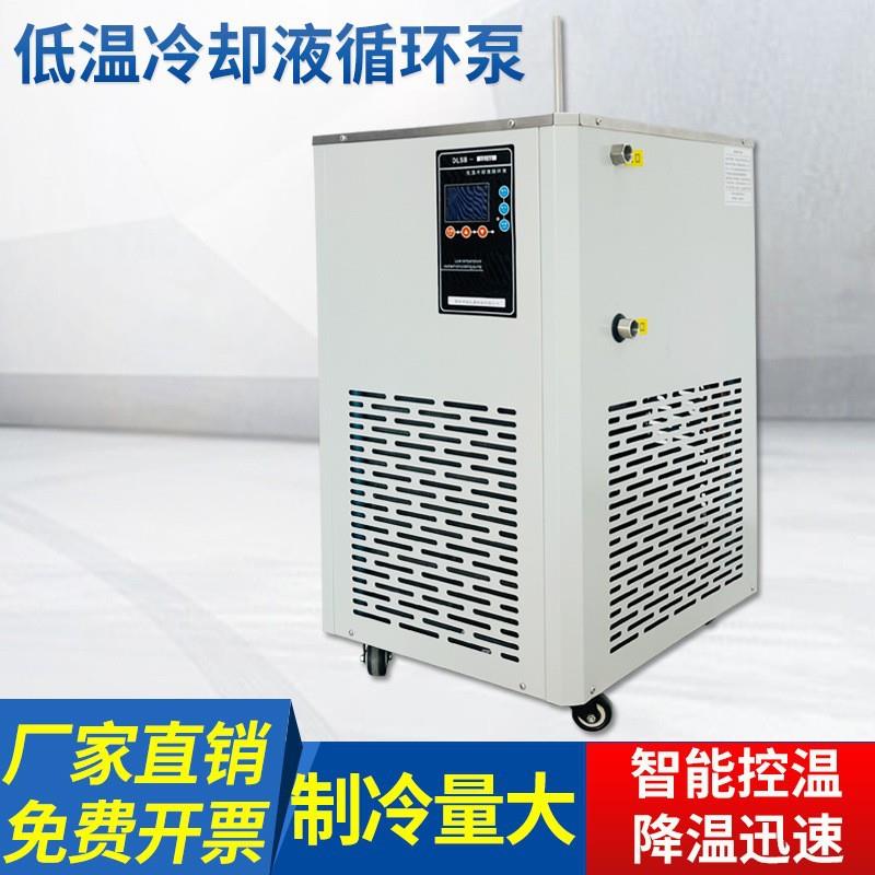 现货实验室低温冷水机泵旋蒸冷凝器配套DLSB低温冷却液循环泵