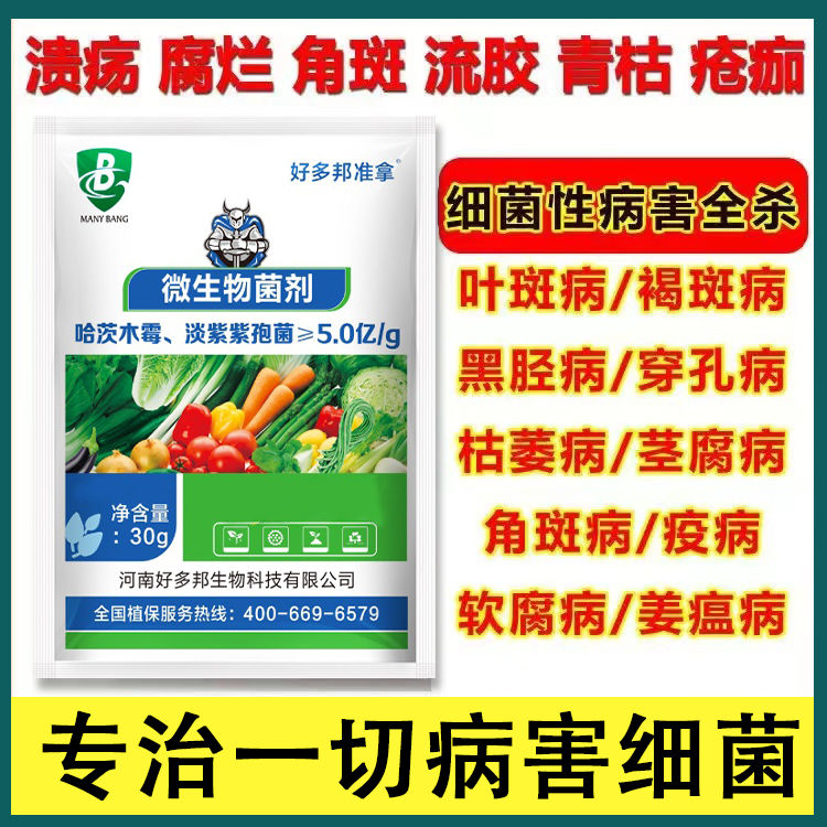 丝瓜病全治丝瓜专用药丝瓜杀菌剂叶面肥丝瓜霜霉褐斑叶枯特效药