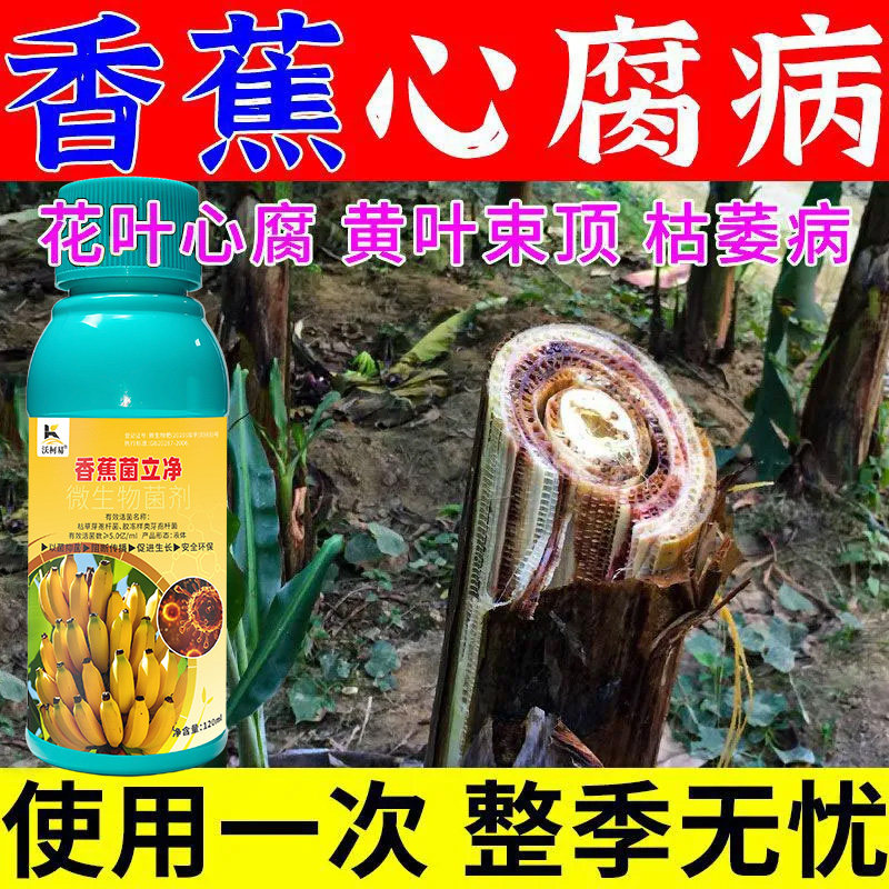 沃柯易香蕉专用药防治结合促成长