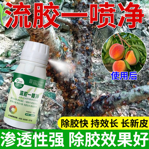 流胶柑橘果树溃疡病腐烂流胶穿孔净流胶穿孔一喷净桃树
