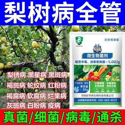 好多邦梨树病菌清梨树专用