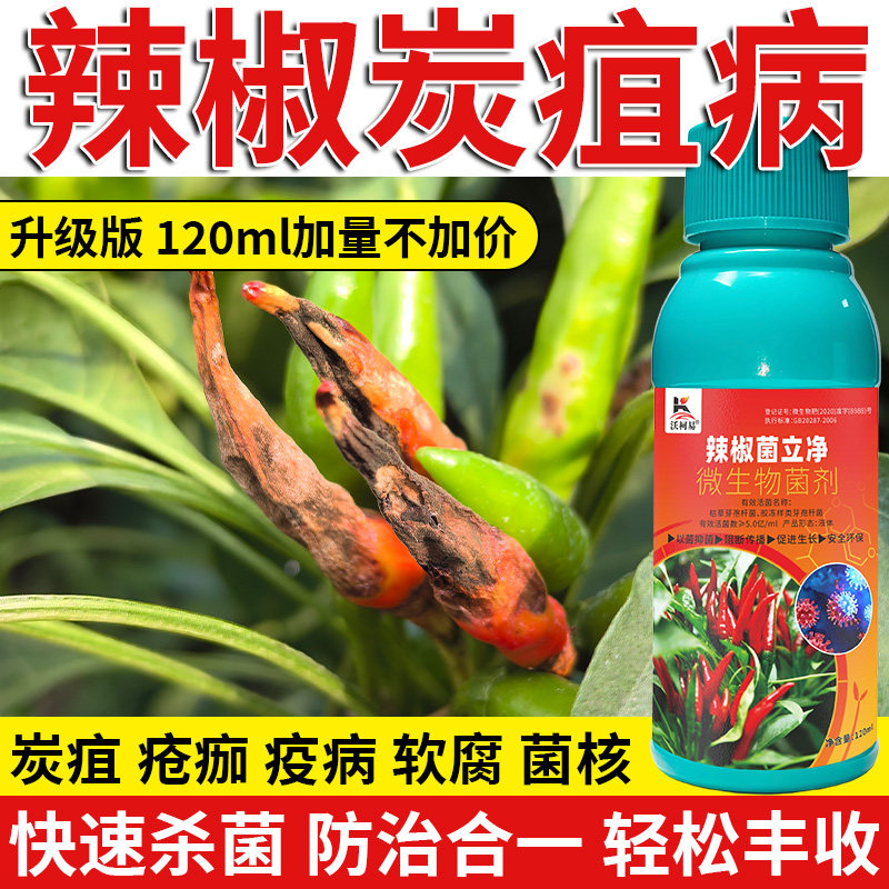 沃柯易辣椒专用药防治病害促成长