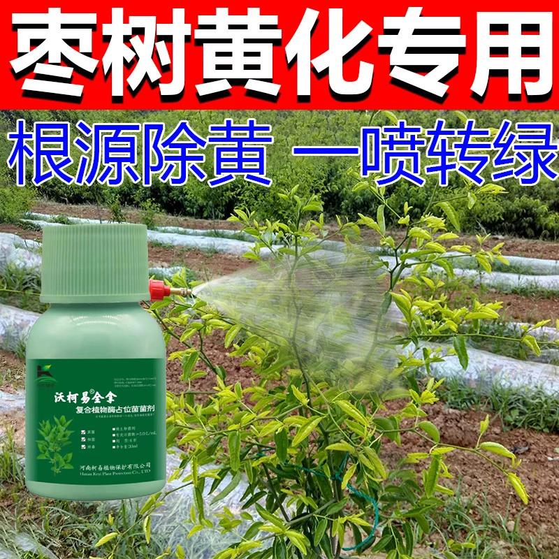 枣树专用剂枣锈病炭疽病腐烂病黑星斑点卷叶病枣树病速清