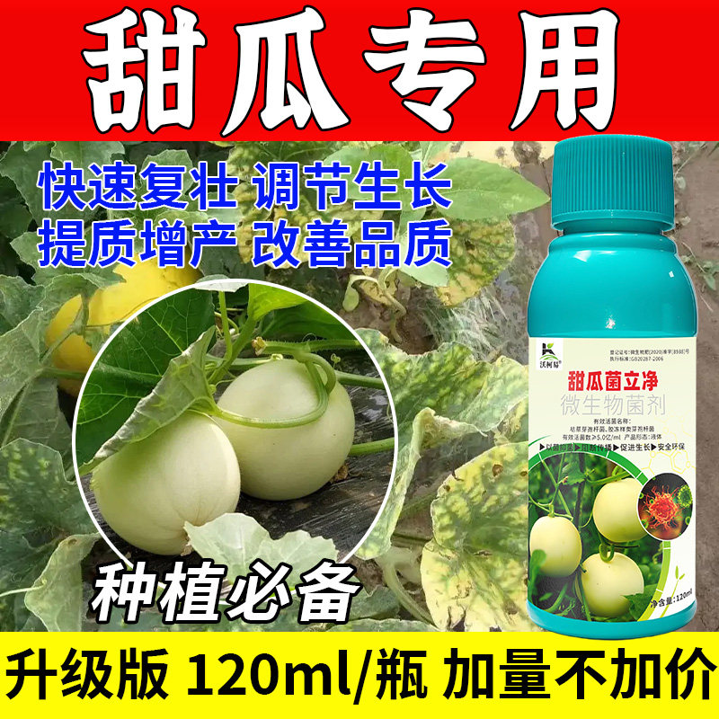 沃柯易甜瓜菌立净防治结合促成长