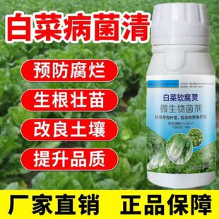白菜病菌清专用药大白菜防烂心烂根软腐霜霉病杀菌剂病全清正品