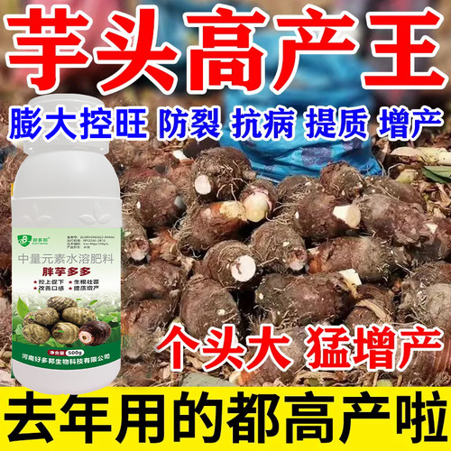 好多邦胖芋多多提质增产促成长