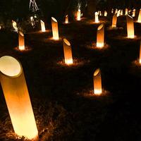 太陽能戶發(fā)光竹子外防發(fā)水光竹庭園院燈公園花子園裝飾景觀燈林創(chuàng)