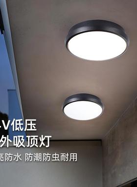 TRIAC可控硅大门进户门灯玄关灯户外24V低压吸顶灯别墅入户阳台屋