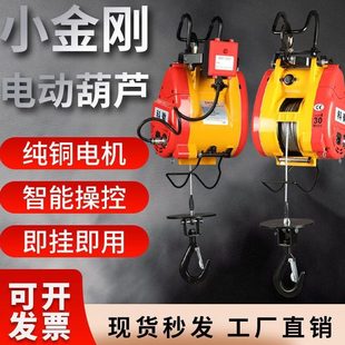 钢丝绳电葫芦 小金刚电动葫芦220v小型吊机家用小型升降遥控便携式
