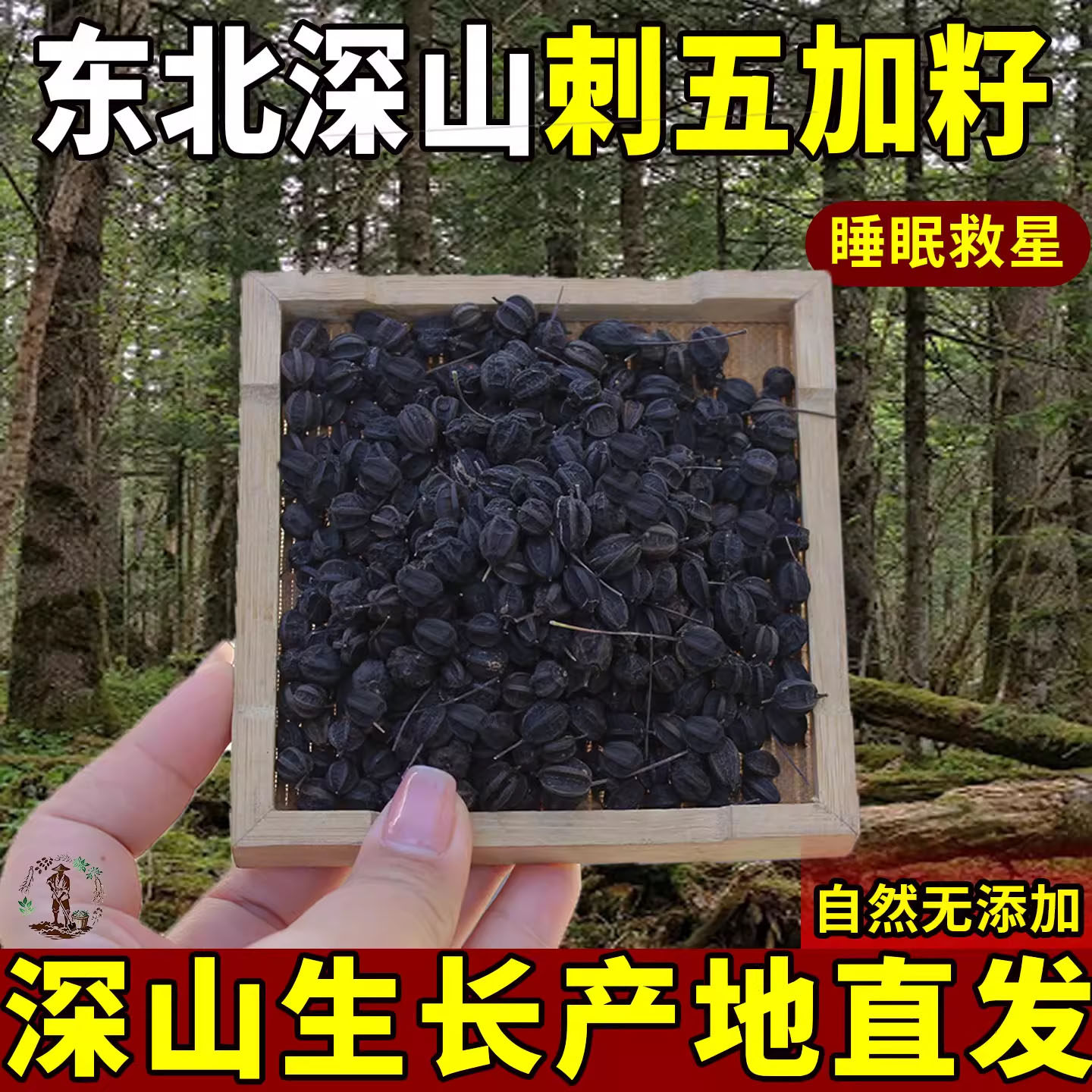 东北刺五加籽刺五加中药材刺五加果正品泡水泡酒新货特级干非野生