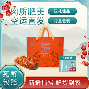 阳澄湖大闸蟹公蟹5.0两/只+母蟹4.0两/只  到手5对10只装