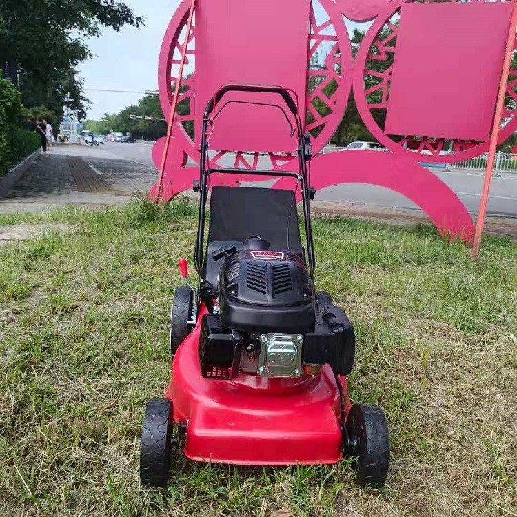山东工厂现货手推草坪修剪机自走剪草机汽油割草机新款,农机/农具/农膜,割灌机/割草机/油锯,淘宝优惠券,粉丝福利购,淘宝优惠卷
