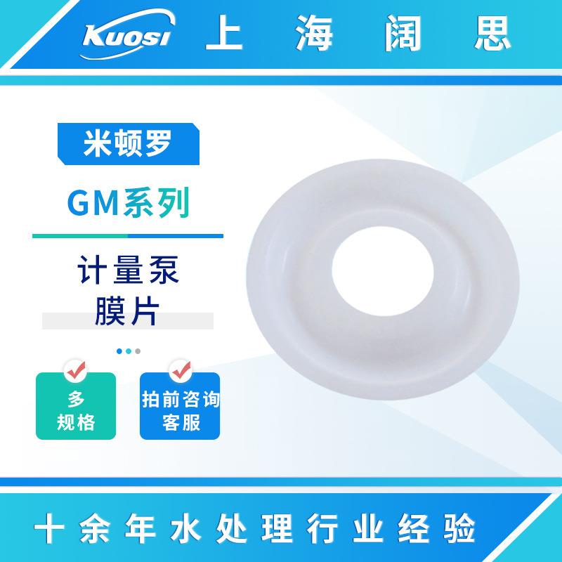 LMI米顿罗计量泵机械隔膜泵膜片GM/GB系列配件GM0090-GM0500P零件