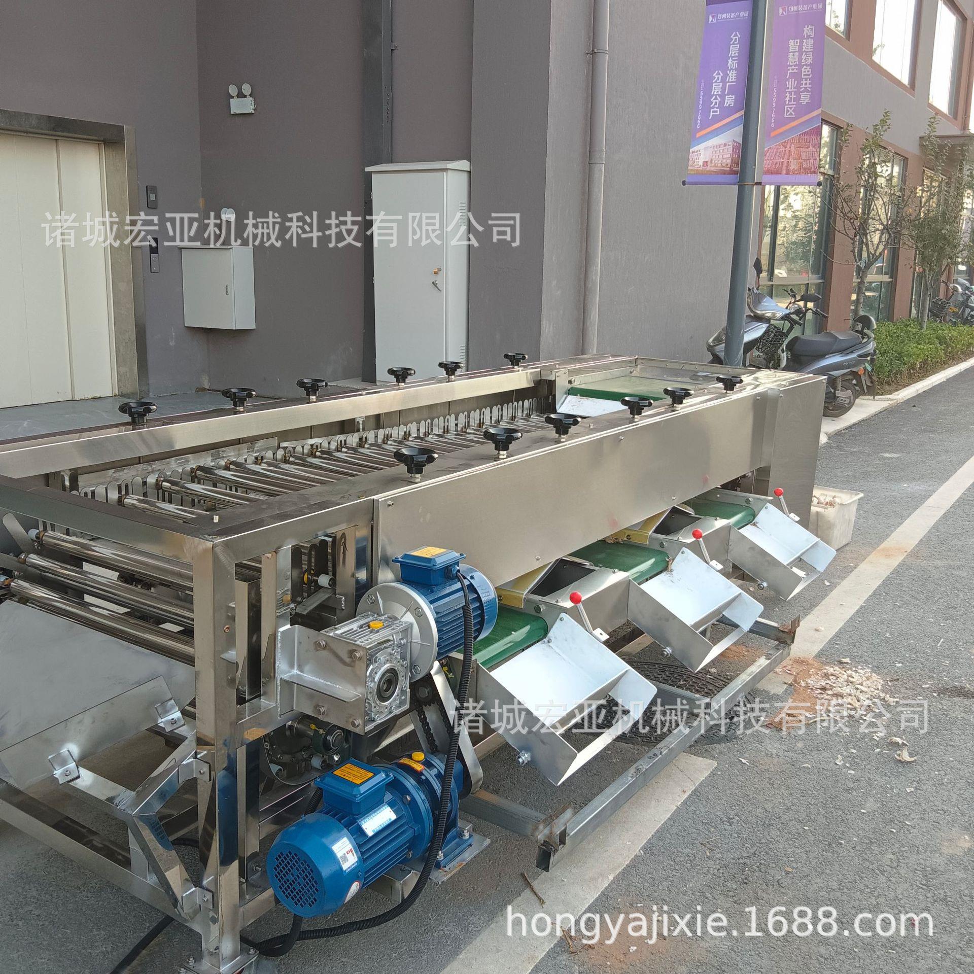 果WVA土豆大芒分选机 果场用柠檬柑橘滚分级蒜杠机 厂家直销