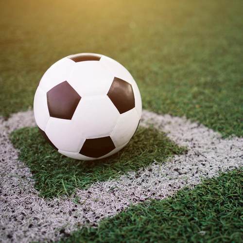 定制草坪学铺校幼儿园球户仿真006草皮足场外场地装