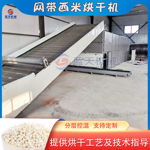 网带西米烘干机 连续式西谷米除湿干燥机 全自动西米淀粉烘干设备