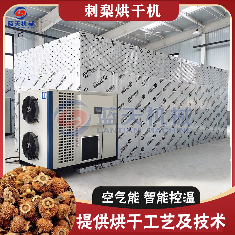 大型刺梨烘干机 智能控温山王果刺莓果烘干设备 茨梨木梨子干燥机