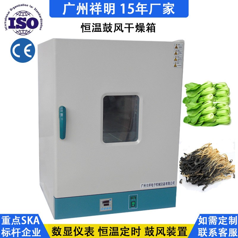 广州101-2S/2BS中药恒温干燥箱 五谷杂粮烤箱 食品烘箱烘干机