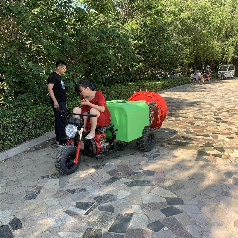 高式动力打药双268机 全式自动自走式喷药机 果园风送三轮打塔药,农机/农具/农膜,植保机械,淘宝优惠券,粉丝福利购,淘宝优惠卷