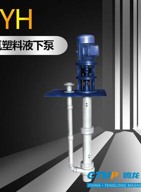 -47365FYH5A/B工程塑料液下泵 化工耐酸碱 卧龙式离心泵 腾2泵阀