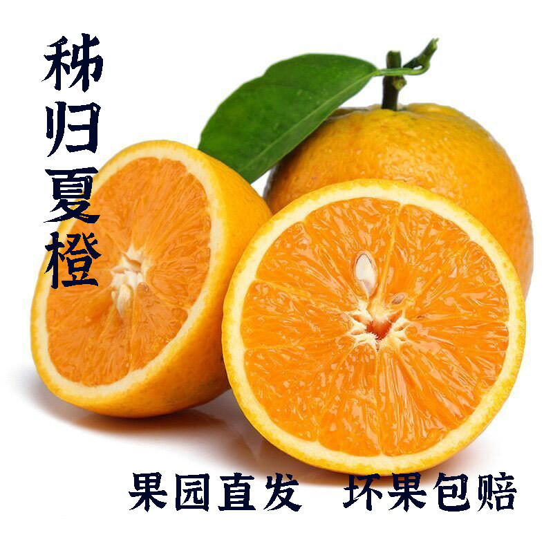 秭归夏橙9斤装当季新鲜酸甜橙