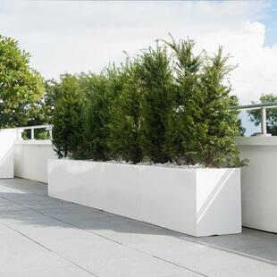 户外花箱室外园林绿化仿真植物绿植组合花草种植装饰区不锈钢花盆