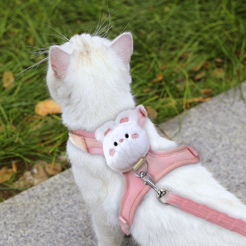 小猫牵引绳小型犬可爱背心式狗胸背带可调节猫咪牵引Y绳遛狗牵引,宠物/宠物食品及用品,猫牵引绳,淘宝优惠券,粉丝福利购,淘宝优惠卷