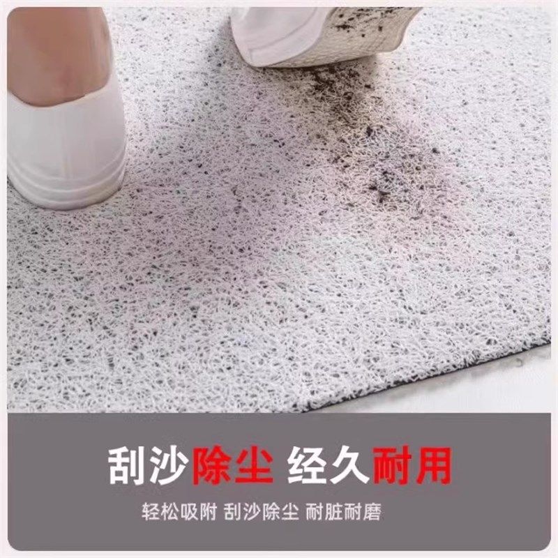 蛇年丝圈地垫入户门垫o门外进门除尘垫子脚垫红色新年乔迁门口地,居家布艺,入户地垫,淘宝优惠券,粉丝福利购,淘宝优惠卷