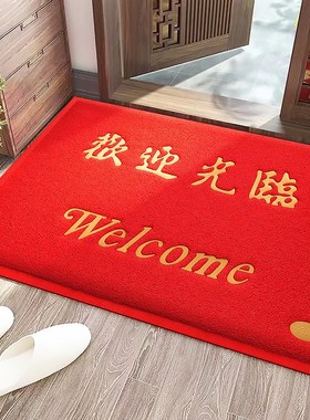 地垫进门脚垫入户门垫pvcv丝圈地毯垫出入平安欢迎光临门口防滑垫