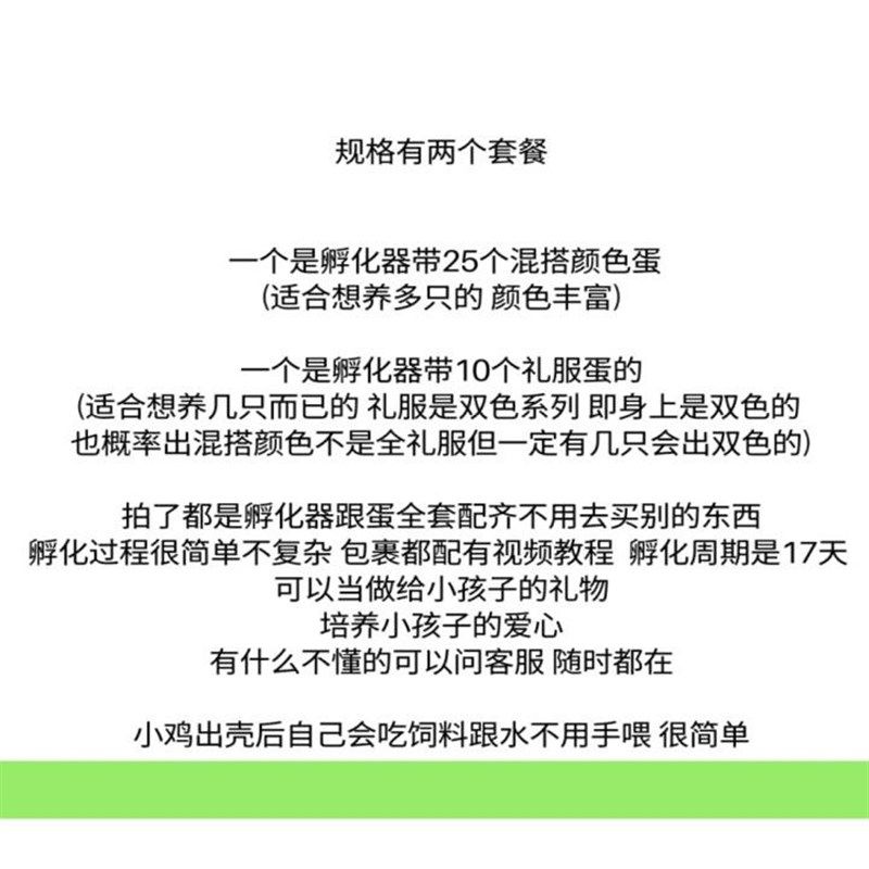 新手孵化套餐芦丁鸡蛋宠物鸡x蛋德系受精蛋孵化迷你孵化蛋儿童礼,宠物/宠物食品及用品,宠物鸡,淘宝优惠券,粉丝福利购,淘宝优惠卷