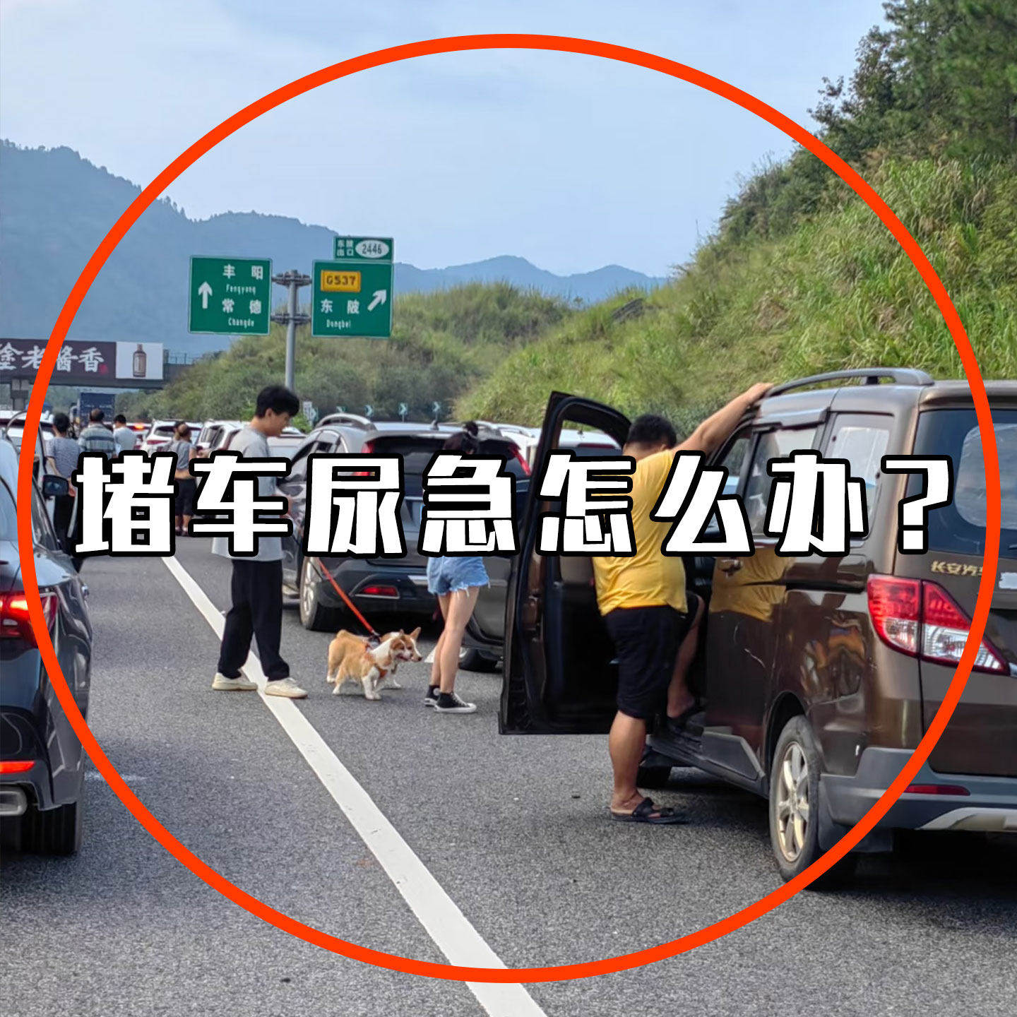 一次性小便应急尿袋女士车上尿尿车载厕所车用男长途接尿沐浴帐篷,户外/登山/野营/旅行用品,更衣/沐浴帐篷,淘宝优惠券,粉丝福利购,淘宝优惠卷