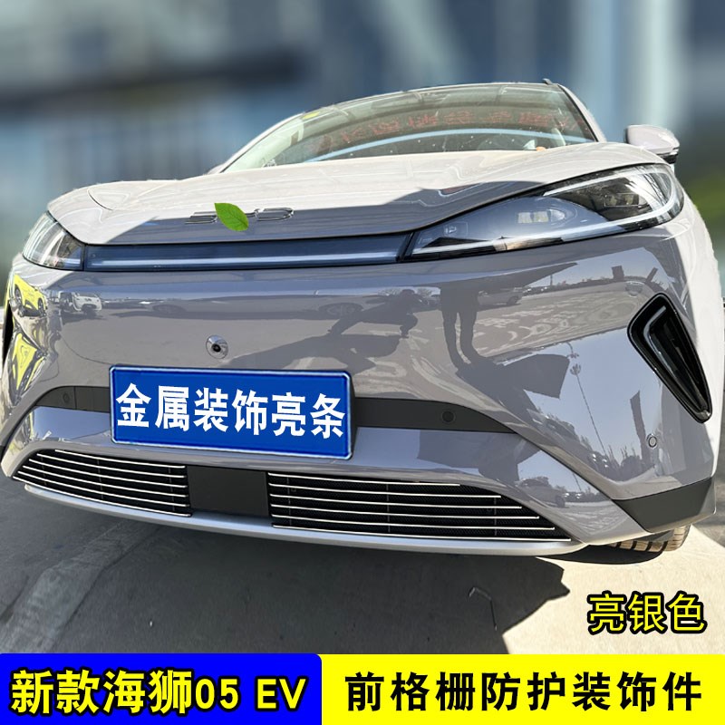比亚迪海狮05EV中网外观x件防虫网前脸杠改装饰条汽车用品配件