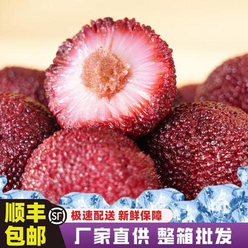 京德福冰杨梅四季吃杨梅厂家直供