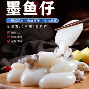 于小二墨鱼仔新鲜冷冻商用鲜冻小鱿鱼捞汁小海鲜小乌贼干冰