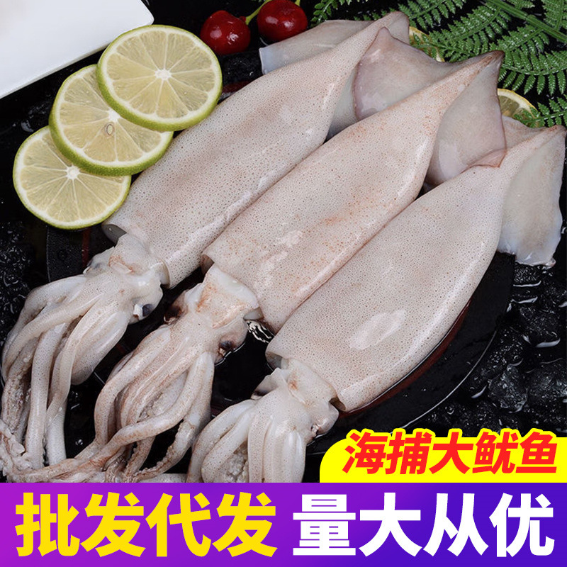 大鱿鱼整只深海新鲜冷冻鱿鱼须头乌贼章鱼海鲜水产烧烤铁板顺丰