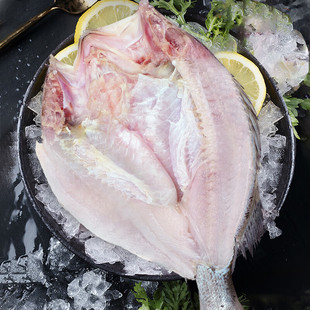 海鲈鱼开背新鲜活冷冻深海鱼去内脏开背鲈鱼商用餐饮