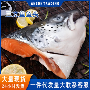 智利三文鱼头大西洋鲑鱼冰鲜鱼头炖汤食材水产海鲜超大非挪威