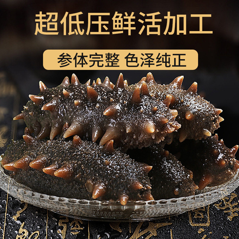 于小二即食海参5-30头即食大连鲜食刺参深海辽刺参淡干海鲜参水产