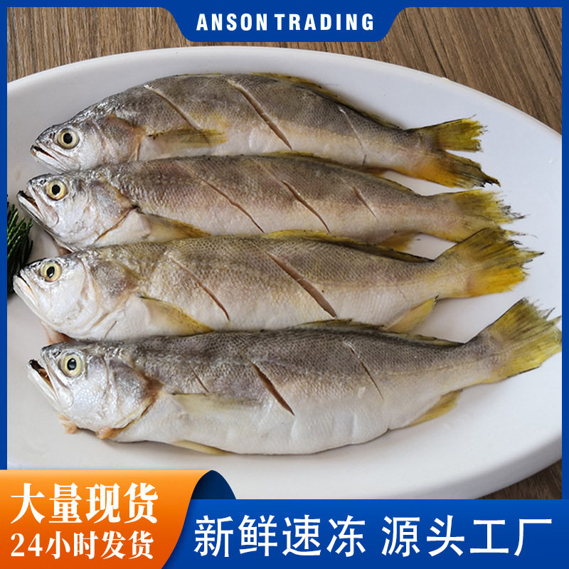 于小二开肚小黄鱼新鲜海捕冷冻深海鱼鲜活海鲜水产批货商用免处理
