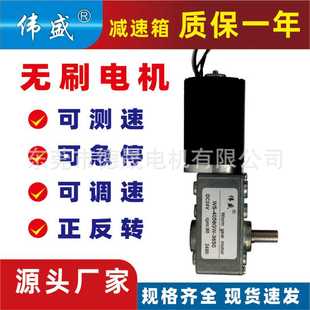 伟盛4058GW涡轮蜗杆减速电机12V24V蜗轮减速电机3650直流减速电机