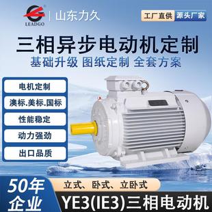 YE3三相异步电动机高效稳定节能马达通用电机纯铜线圈工业用2极