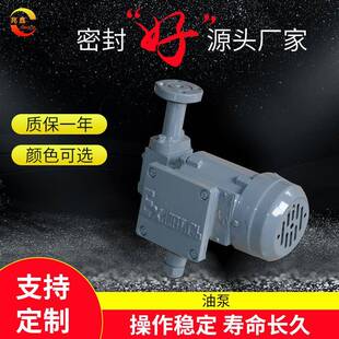 厂家直供减速机油泵转子式配件润滑泵现货工业润滑减速器硬齿