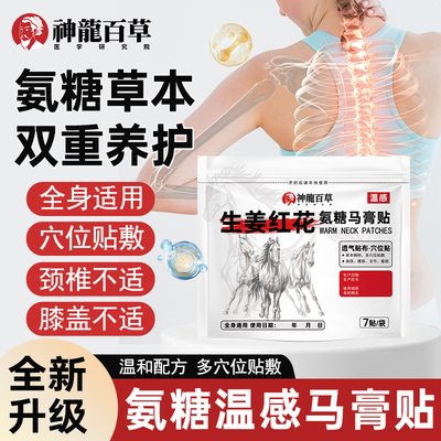 神龙百草氨糖马膏贴官方旗舰正品生姜红花肩颈腰椎膝关节穴位贴A1