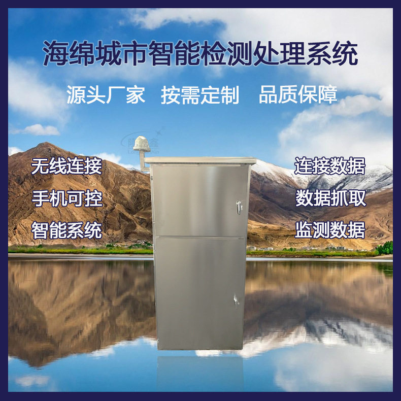 海绵城市智能检测处理系统智能雨水一体化装置设备支持手机控制