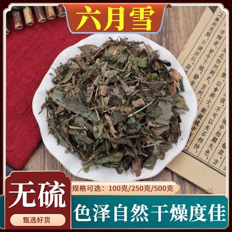 六月雪中药材500g克六月雪满天星碎叶冬青白马骨路边金硬骨柴天然
