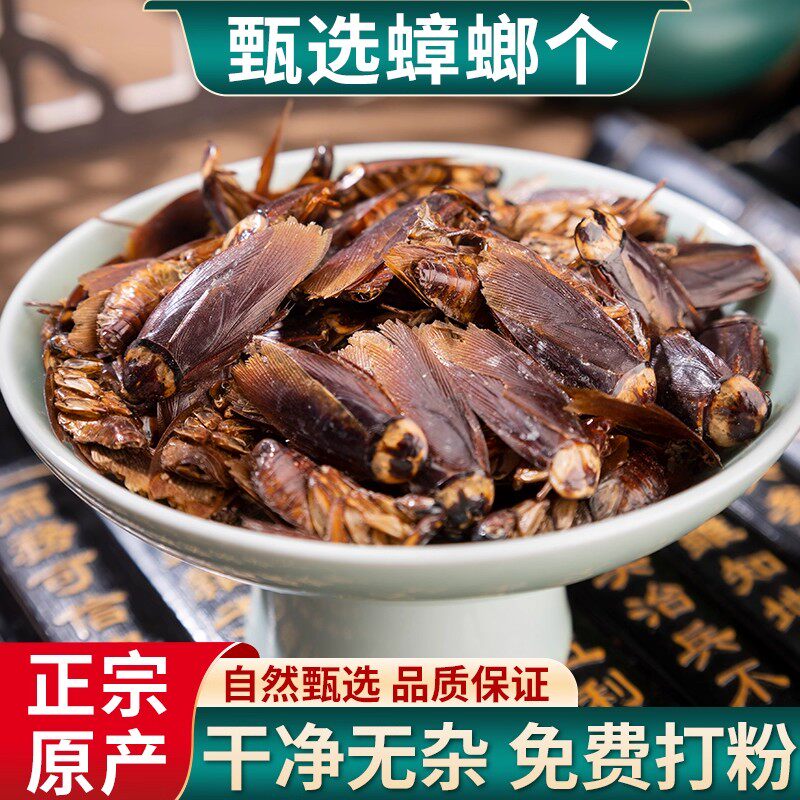 蟑螂中药材蟑螂干野生药用小强偷油婆蟑螂虫干正宗茶婆虫滑虫蟑螂