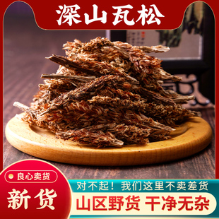 瓦松中药材500g旗舰店野生正品干瓦松花流苏向天草天王铁塔草酸塔